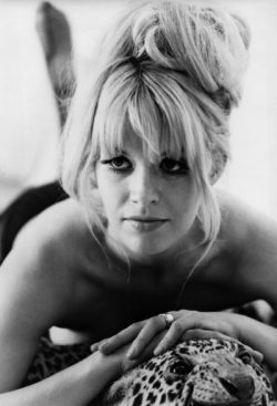 Carol White