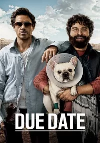 دانلود فیلم Due Date 2010 بدون سانسور با زیرنویس فارسی چسبیده